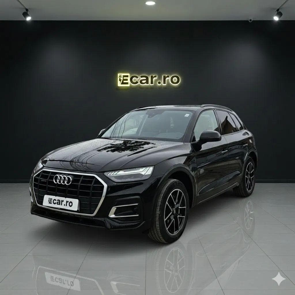Audi Q5 — 1/17